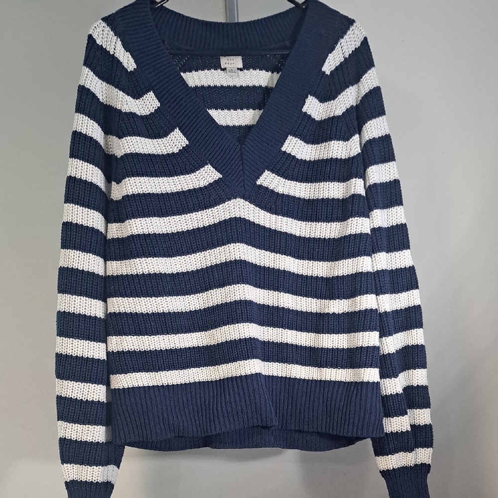 Striped Navy and White V-Neck Sweater By A New Day
